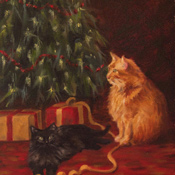 Christmas Cats