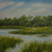   Jekyll Island Marsh