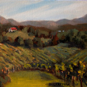   Vineyard in Dahlonega