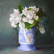 Wedgewood Gardenias